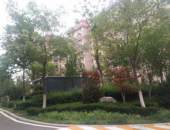 枫香湖畔小姐姐,邂逅自然之美，探寻心灵栖息地